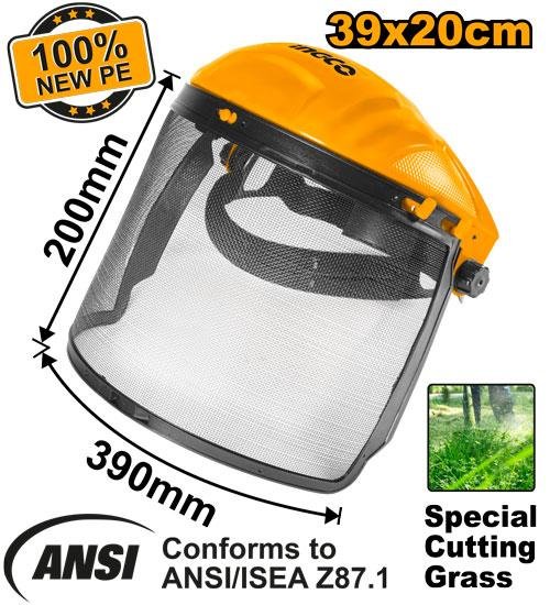 Mesh visor