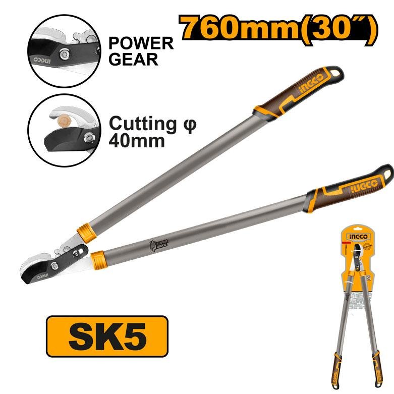 Lopper shears with gear